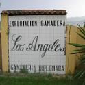 Spanje Estepona 231